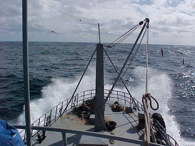 MVC-017S