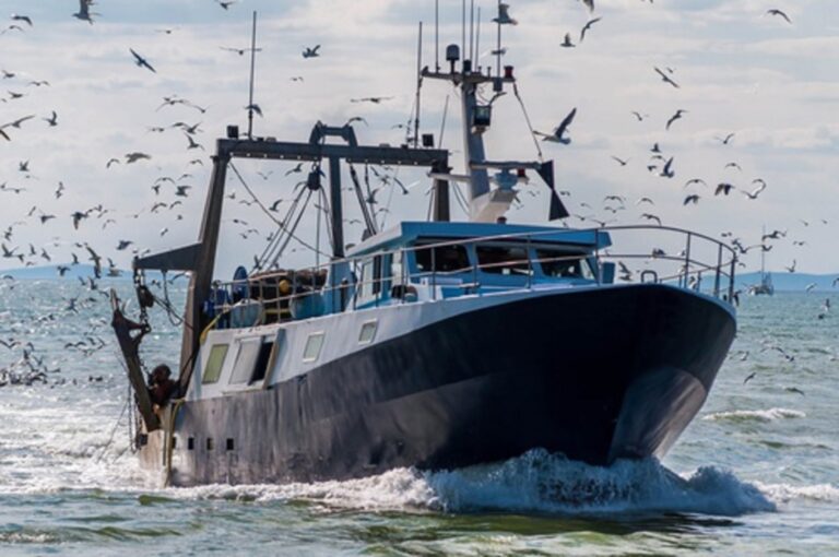 Pesca