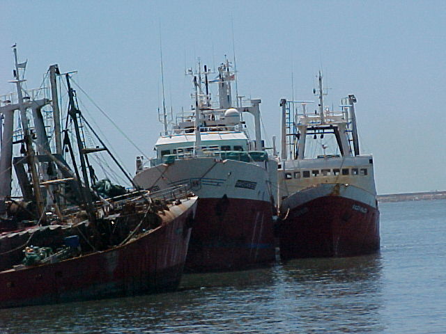 MVC-005F