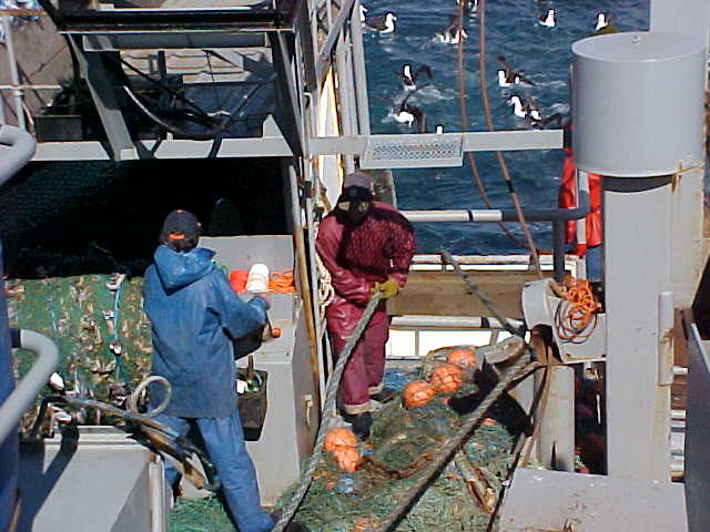 MVC-009S